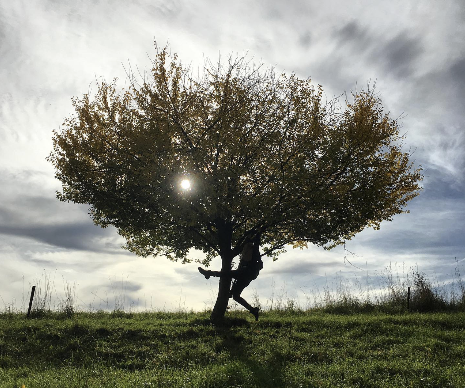 Header-Baum mit Mensch
